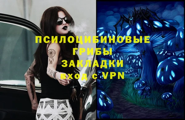 прущая мука Белокуриха
