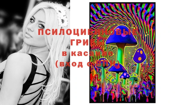МДПВ Белоозёрский