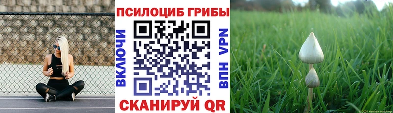 Псилоцибиновые грибы ЛСД Севск